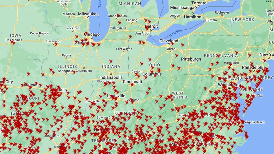 Hummingbird migration Where are they now?