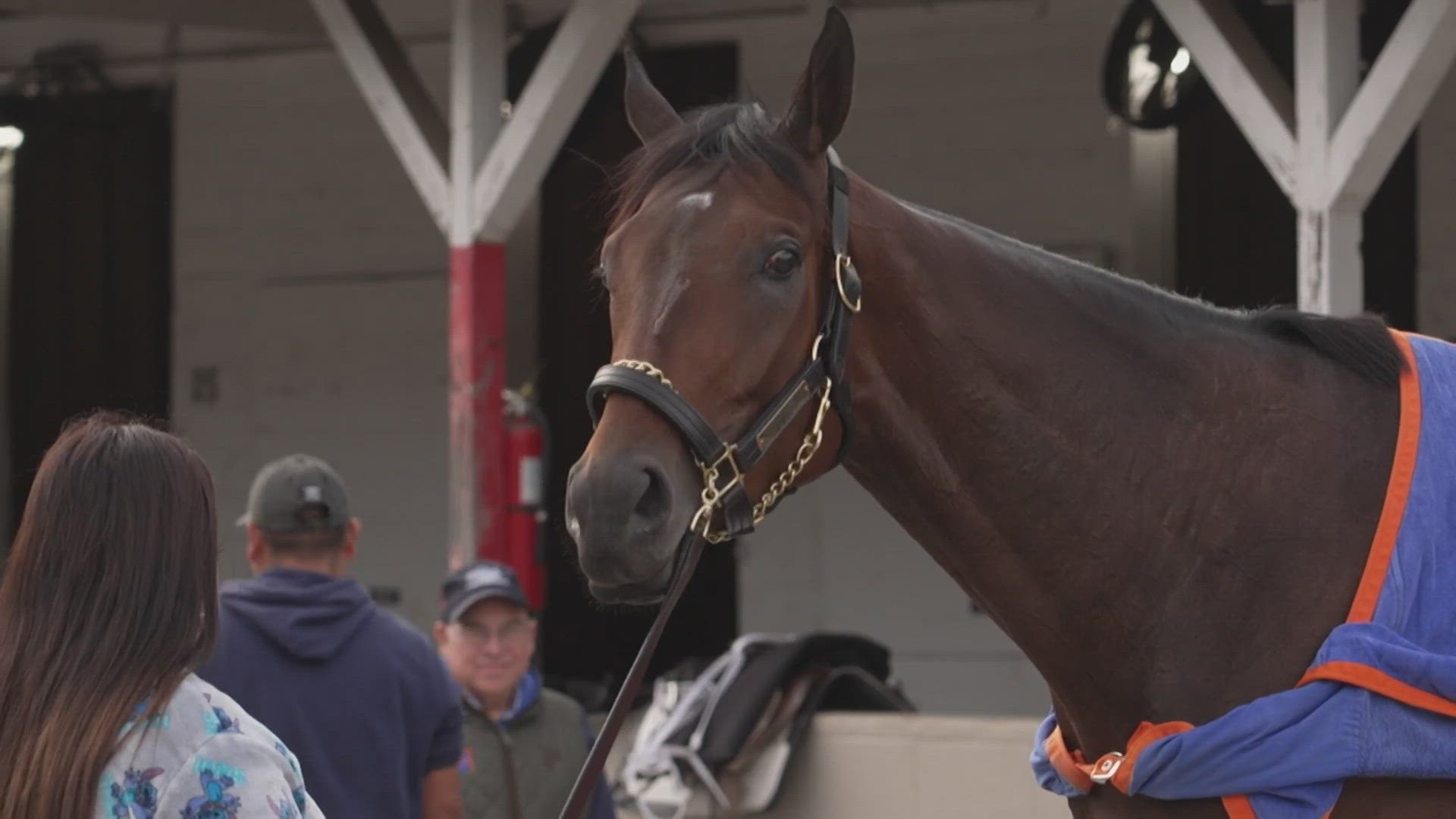 Mike Repole owned Forte, who was the favorite for Derby 149 and was scratched that morning by the vet. Now, he's back with Fierceness.