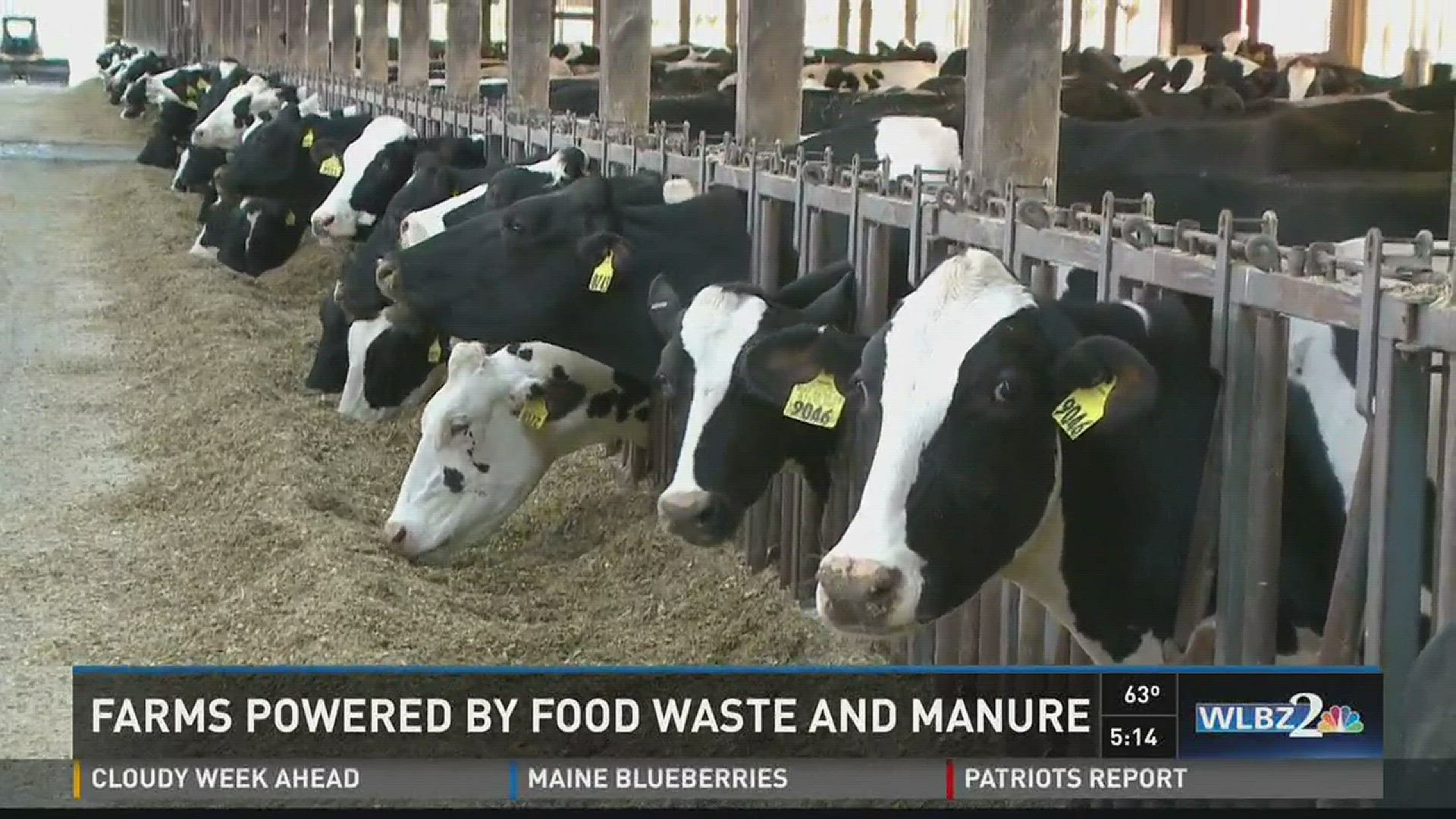 Farms powered by food waste and manure