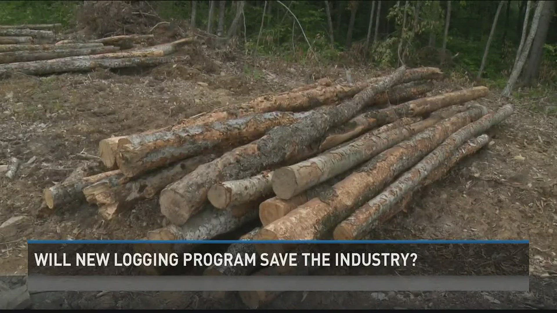 Could new logging technology help save the industry? | newscentermaine.com