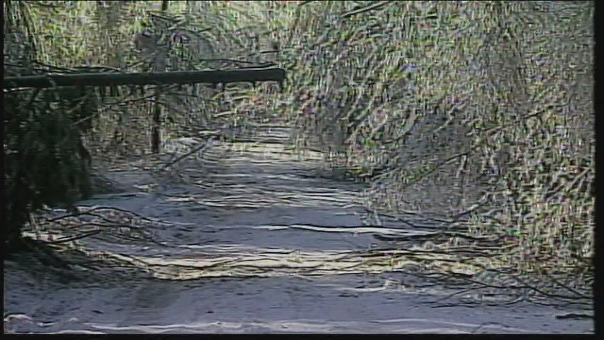 If you lived in Maine in January 1998, you have an ice storm story. NEWS CENTER Maine's Zach Blanchard talks to many Mainers with great stories