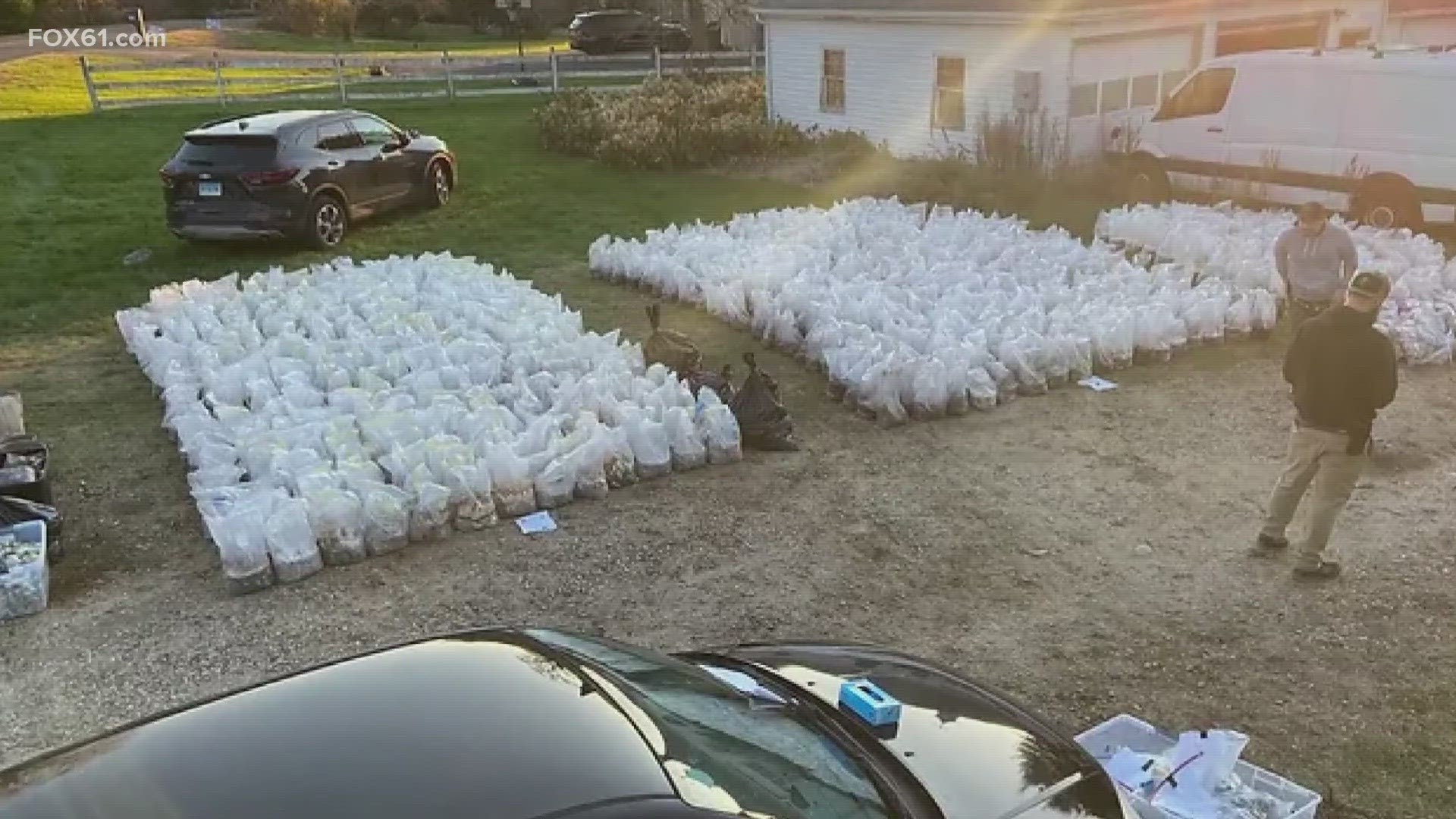 Photos show rows of shelves of large plastic bags and bins of mushrooms at various growing stages inside the home.