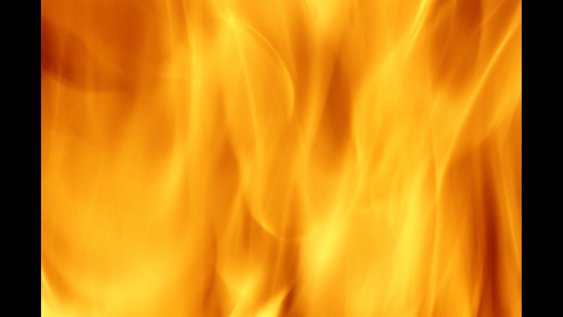 Fire in Ky. horse barn kills dozens of animals