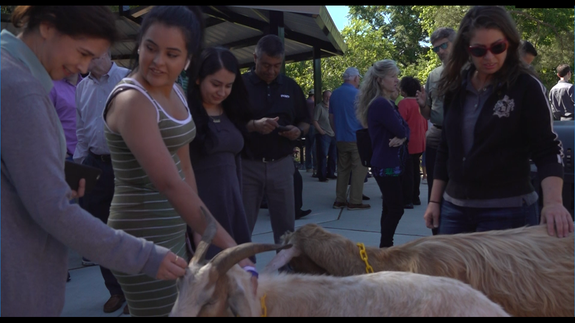 Goats help open new park in Gwinnett County ...